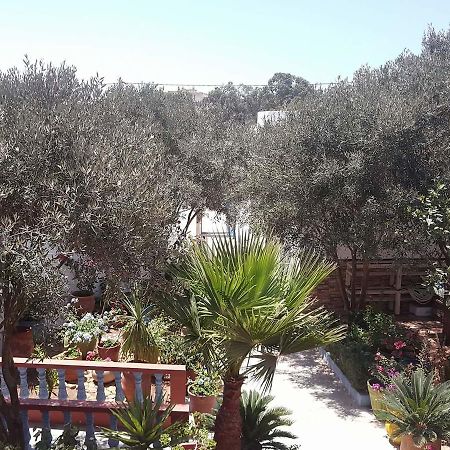 דירות אולידיה Dar Ezzitouna מראה חיצוני תמונה